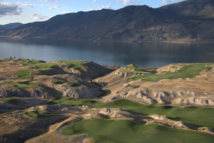 8. (15) Tobiano