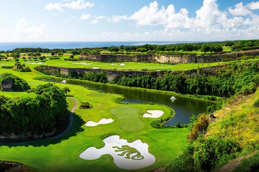 1. Sandy Lane Resort: Green Monkey