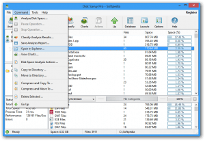 Disk Sorter Pro Ultimate Enterprise Crack 13.9.12 + Free Download [Latest]